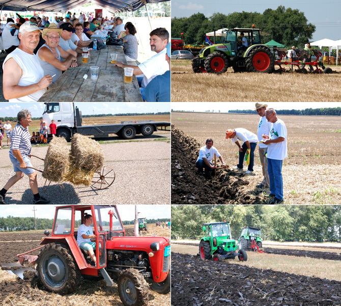 Szenttamási Barázda 2014